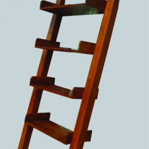 Ladder Rack