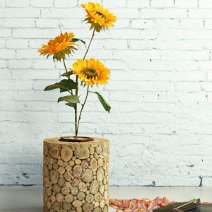 Coin Wooden Planter
